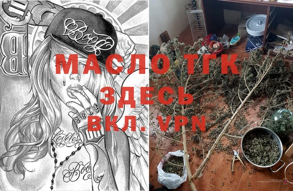 молекула духа Вяземский